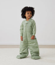 Load image into Gallery viewer, ErgoPouch - Sleep Suit Bag 2.5 TOG Willow
