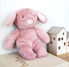 Load image into Gallery viewer, Alimrose - Plush Piggy Toy (28cm)