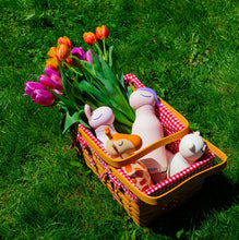 Load image into Gallery viewer, Asobu - Bestie Drink Bottle 460ml Unicorn