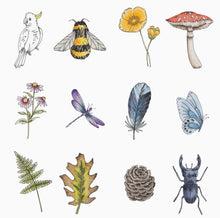 Load image into Gallery viewer, Your Wild Books - Wild Memory Card Game