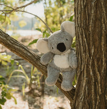 Load image into Gallery viewer, Senger - Cuddly Animal - Koala - Australian Exclusive - Removable Heat/Cool Pack