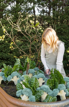 Load image into Gallery viewer, Nana Hutchy - Bo Broccoli - The Green Friend