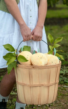 Load image into Gallery viewer, Nana Hutchy - Léa Lemon - The Resilient Friend