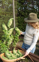 Load image into Gallery viewer, Nana Hutchy - Piper Peas - The Loyal Friend