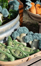 Load image into Gallery viewer, Nana Hutchy - Piper Peas - The Loyal Friend