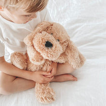 Load image into Gallery viewer, Mindful & Co - Charlie the Weighted Puppy Dog