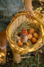 Load image into Gallery viewer, Nana Hutchy - Bubba Rooster Rattle