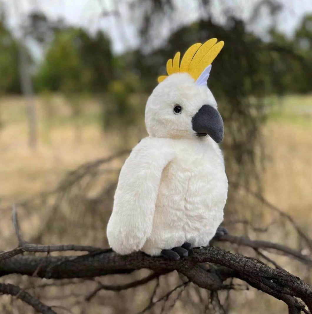Furfolk - Cockatoo