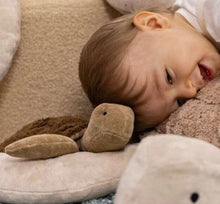 Load image into Gallery viewer, Senger - Cuddly Turtle Small Brown w removable Heat/Cool Pack
