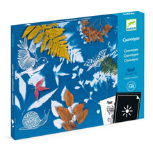 Load image into Gallery viewer, Djeco - Cyanotype Starter Kit
