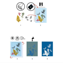 Load image into Gallery viewer, Djeco - Cyanotype Starter Kit
