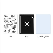 Load image into Gallery viewer, Djeco - Cyanotype Starter Kit
