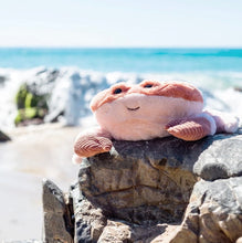 Load image into Gallery viewer, OB Designs - Kenzo Crab Soft Toy (Vegan Angora) 15&quot;/38cm
