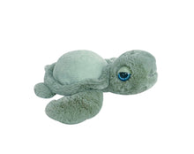 Load image into Gallery viewer, OB Designs - OB Designs Tyler Green Turtle
