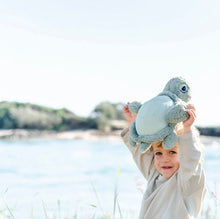 Load image into Gallery viewer, OB Designs - OB Designs Tyler Green Turtle
