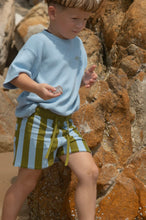 Load image into Gallery viewer, Grown - Organic Vertical Stripe Knit Shorts - Ocean &amp; Leaf
