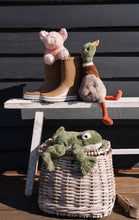 Load image into Gallery viewer, Nana Huchy - Paloma the Pig
