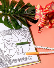 Load image into Gallery viewer, Journey of Something - Alphabet Safari Colouring Book Kit
