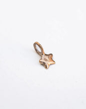 Load image into Gallery viewer, Pesci Che Volano - Stellina Charm Star
