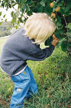 Load image into Gallery viewer, Grown - Organic Fruit Salad Denim Pants
