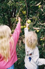 Load image into Gallery viewer, Grown - Organic Fruit Salad LS Tee - Grey Marle
