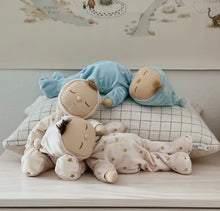 Load image into Gallery viewer, Olli Ella - Dozy Dinkums Lullaby Leo
