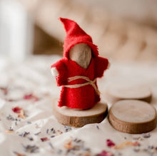Load image into Gallery viewer, Q Toys - Coco Gnome House
