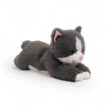 Load image into Gallery viewer, One Love - Misty Grey Soft Cat
