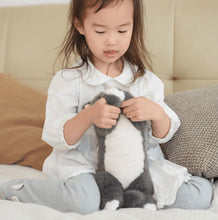 Load image into Gallery viewer, One Love - Misty Grey Soft Cat
