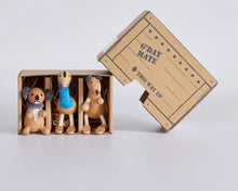 Load image into Gallery viewer, Anamalz - Outback Mini Crate – 3 Australian Anamalz Gift Crate
