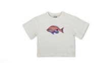 Load image into Gallery viewer, Grown - Perch Fish Tee - Cream
