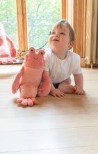 Load image into Gallery viewer, Nana Hutchy - Craig the Crayfish
