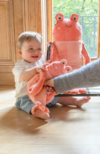 Load image into Gallery viewer, Nana Hutchy - Craig the Crayfish
