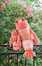 Load image into Gallery viewer, Nana Hutchy - Craig the Crayfish
