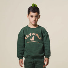 Load image into Gallery viewer, Crywolf - Chill Sweater Forest
