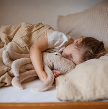 Load image into Gallery viewer, Senger - Cuddly Animal - Small Octopus - Powder - Removable Heat/Cool Pack
