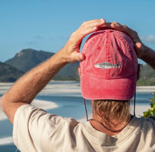 Load image into Gallery viewer, Pallion Point - Tiger Shark Lid / Cap
