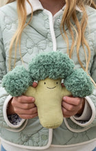 Load image into Gallery viewer, Nana Hutchy - Bo Broccoli - The Green Friend
