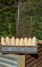 Load image into Gallery viewer, Nana Hutchy - Cooper Corn - The Corny Friend

