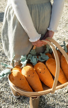 Load image into Gallery viewer, Nana Hutchy - Curtis Carrot - The Caring Friend
