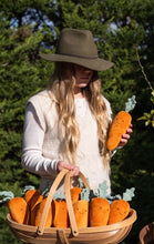 Load image into Gallery viewer, Nana Hutchy - Curtis Carrot - The Caring Friend
