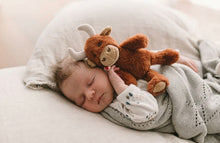 Load image into Gallery viewer, Nana Huchy - Henry the Highland Cow Rattle
