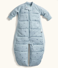Load image into Gallery viewer, ErgoPouch - Sleep Suit Bag 2.5 TOG Dragonflies
