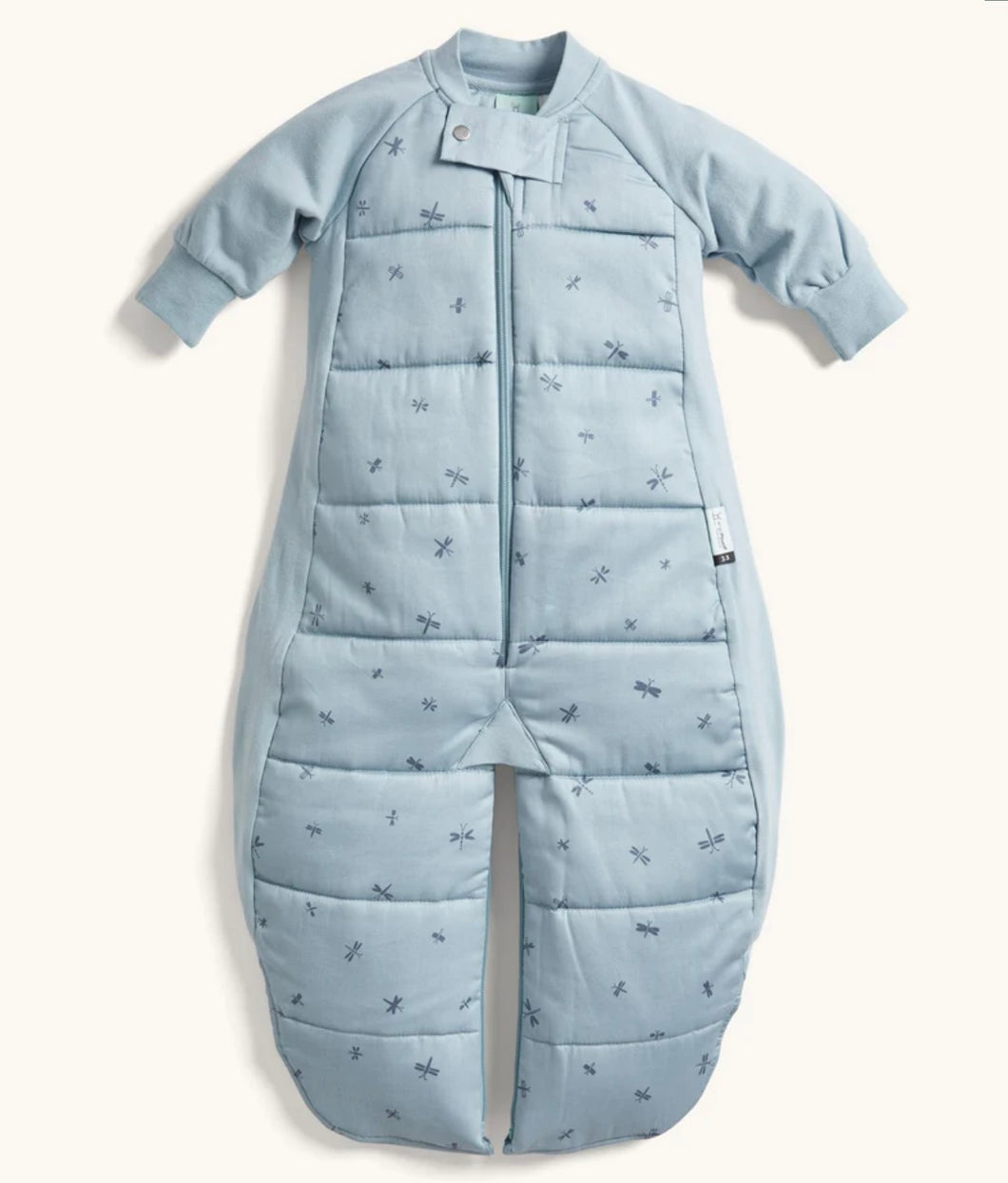 ErgoPouch - Sleep Suit Bag 2.5 TOG Dragonflies