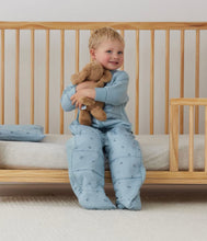 Load image into Gallery viewer, ErgoPouch - Sleep Suit Bag 2.5 TOG Dragonflies
