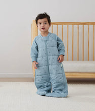 Load image into Gallery viewer, ErgoPouch - Sleep Suit Bag 2.5 TOG Dragonflies

