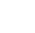 Little Spruce